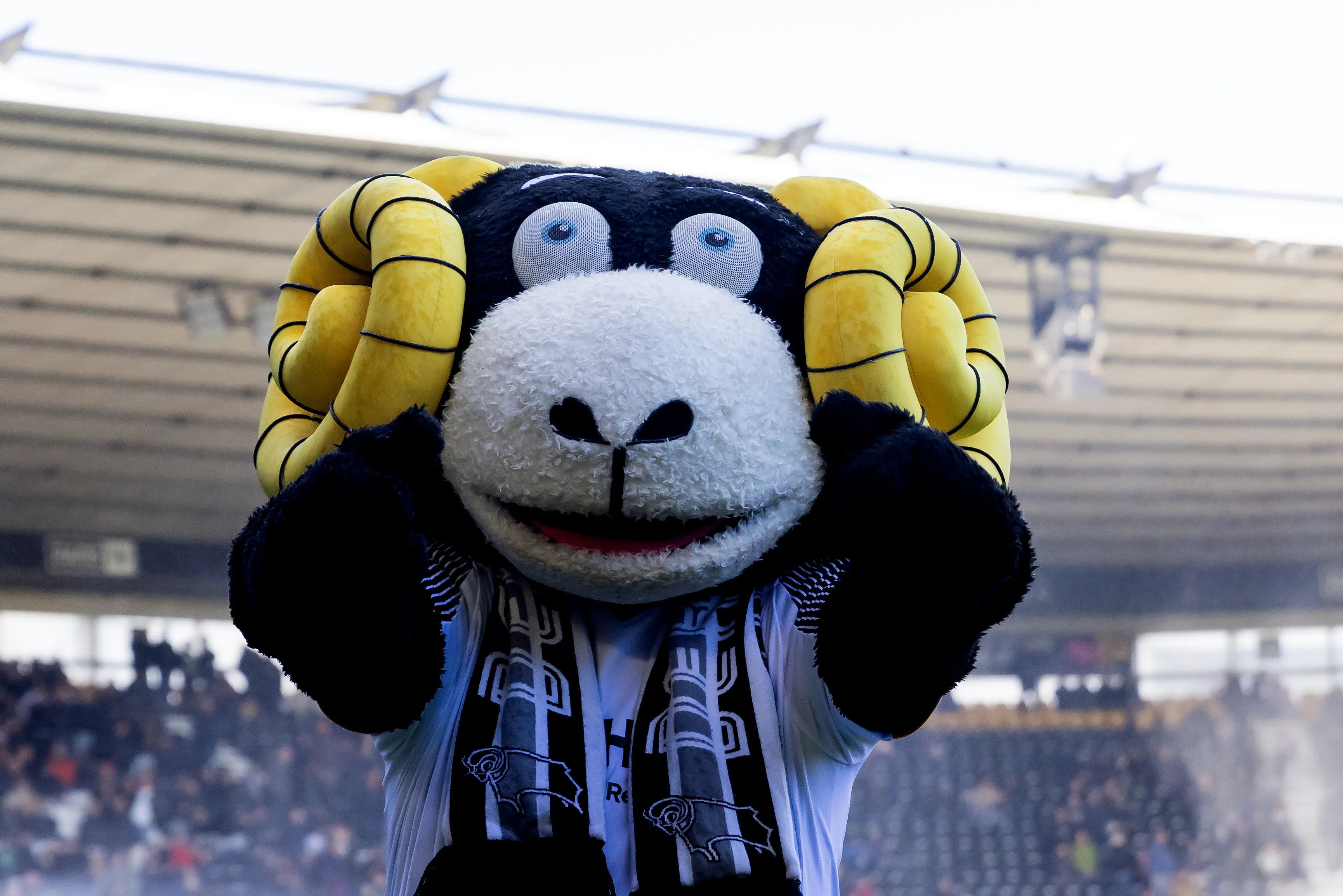 Αναστάτωση στο Κύπελλο Αγγλίας: Μεθυσμένη μασκότ απομακρύνεται από το γήπεδο