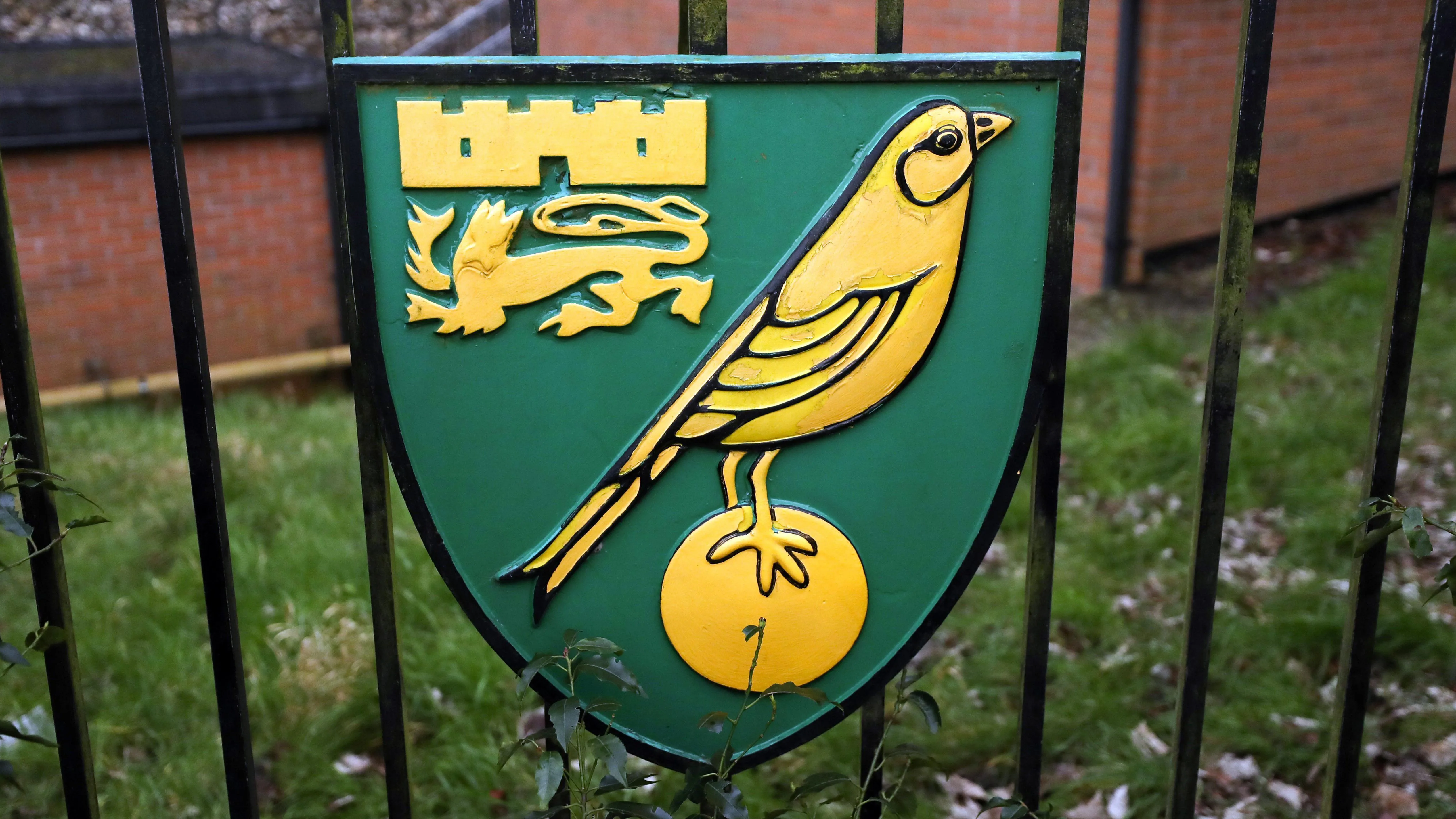 Η Νόριτς κοντά στην επιλογή νέου προπονητή