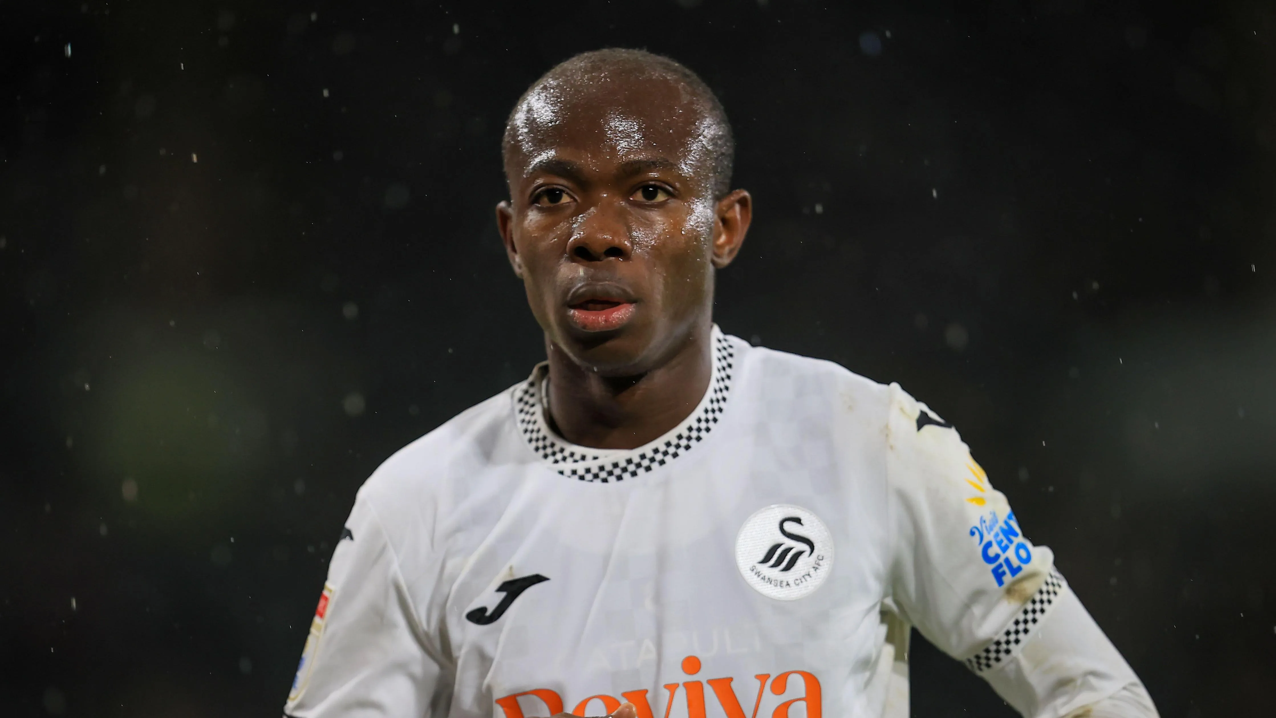 Επιστροφή Γιαλκούγιε, αμφιβολίες για Στάμενιτς και Βίποτνικ