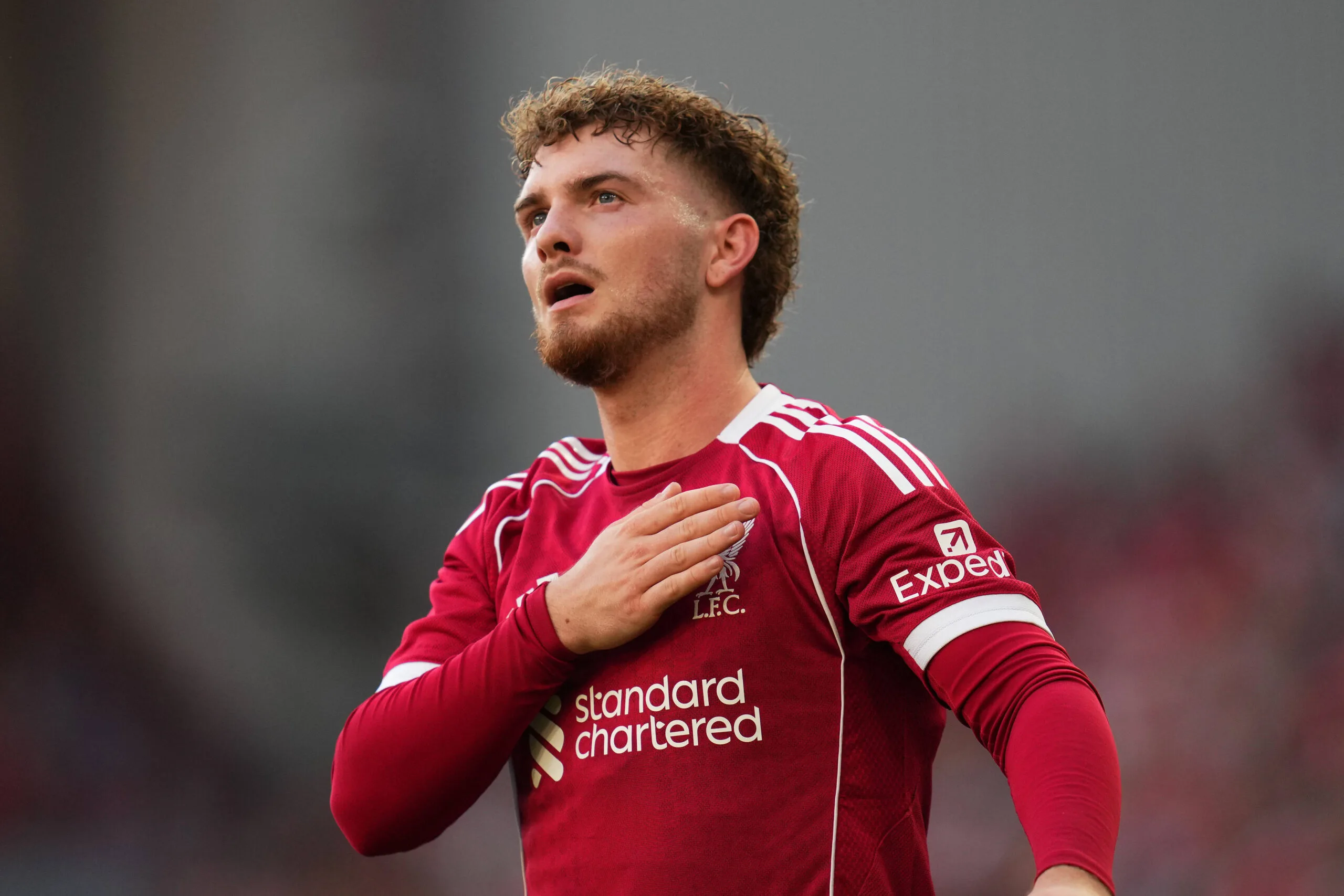 Η Επιστροφή του Χάρβεϊ Έλιοτ: Μια Δεύτερη Ευκαιρία για τη Λίβερπουλ;